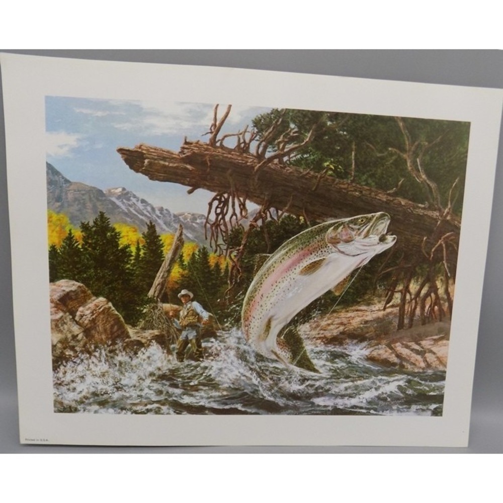 Vintage Tom Beecham Trout Fishing Wildlife Art Print 11"x14" w/ 1 Inch Border